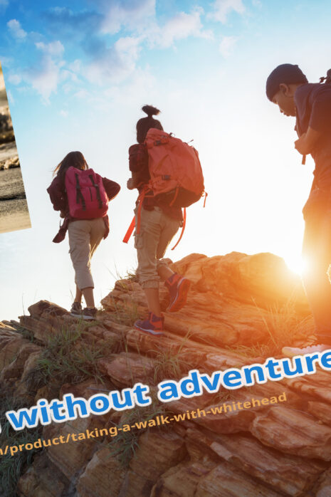 Taking a Walk with Whitehead quote Religion without adventure is dead